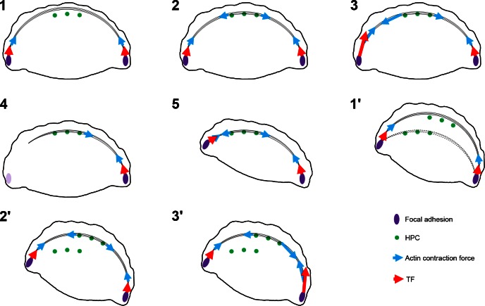 Figure 7.