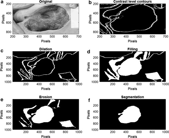 Fig. 7