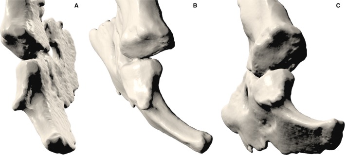 Figure 10