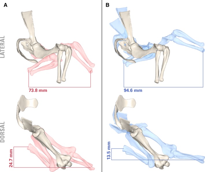 Figure 9