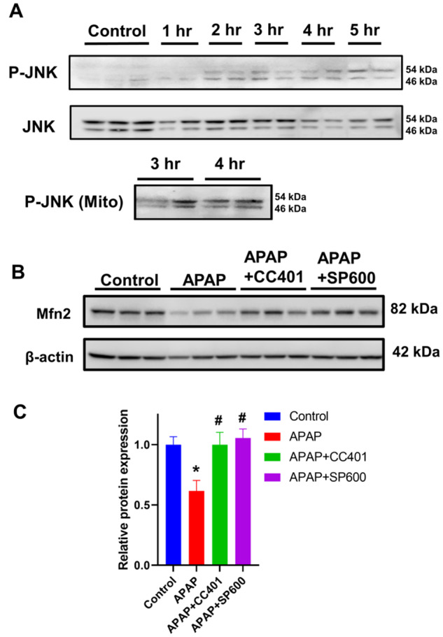 Figure 7.