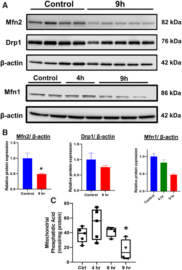 Figure 6.