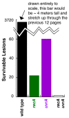 Figure 8