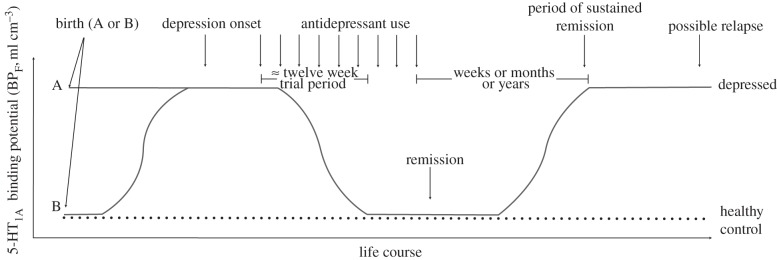 Figure 1.