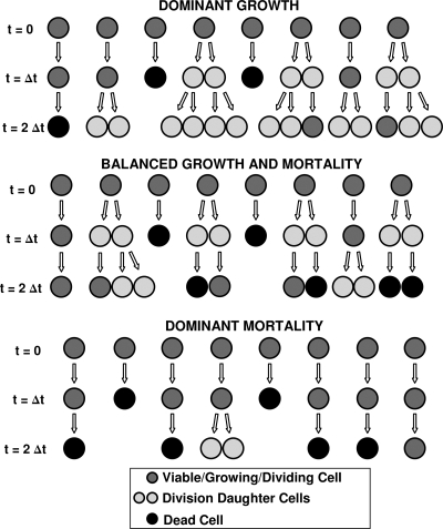 FIG. 3.