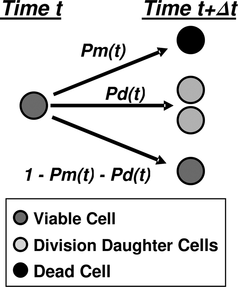 FIG. 2.