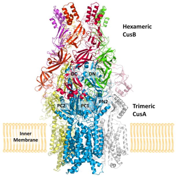 Figure 5