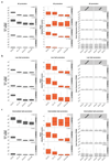 Extended Data Fig. 7