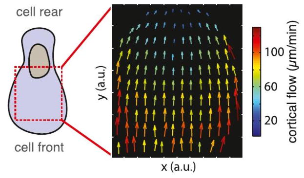 Figure 15