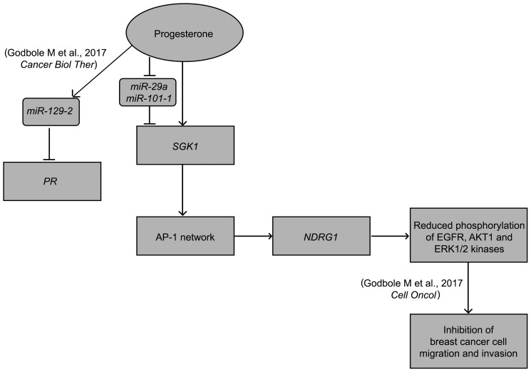 Figure 13.