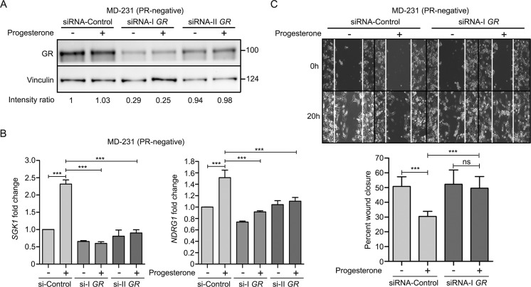 Figure 12.