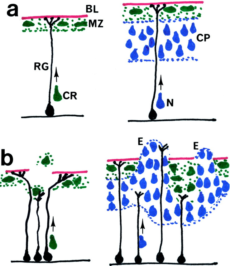 Fig. 8.