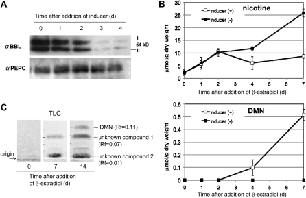 Figure 5.