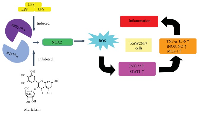 Figure 10