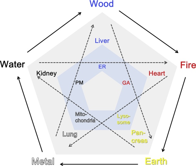 Fig. 2