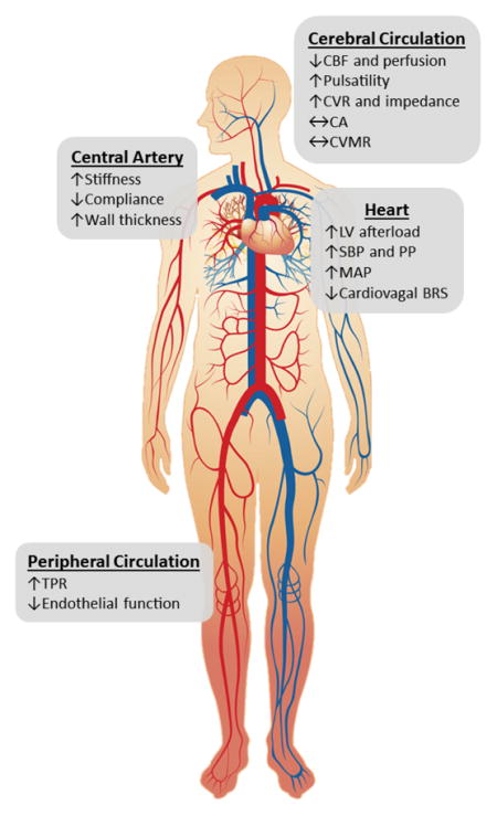 graphic file with name nihms911236u1.jpg