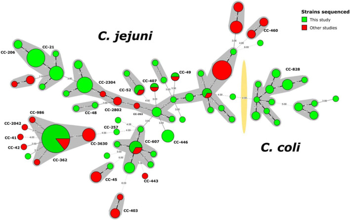 FIGURE 1