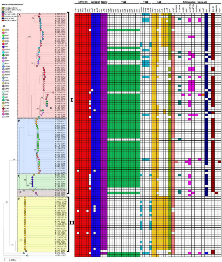 FIGURE 2