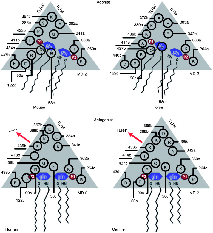 Figure 5.