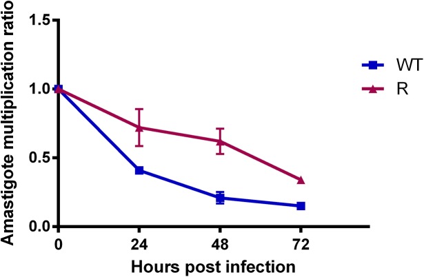 Fig 6