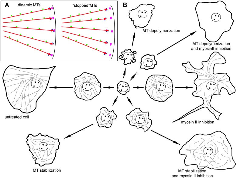 Fig. 8.