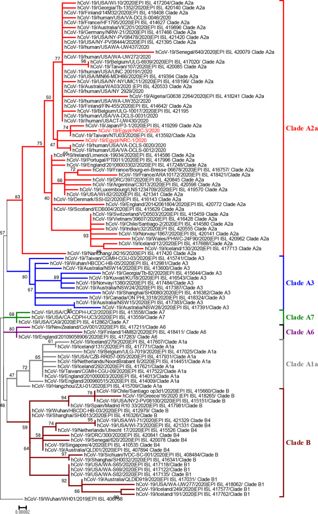 FIG 1