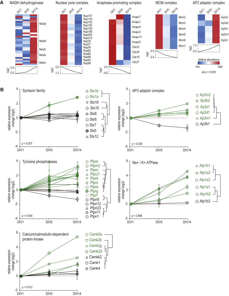 Figure 3