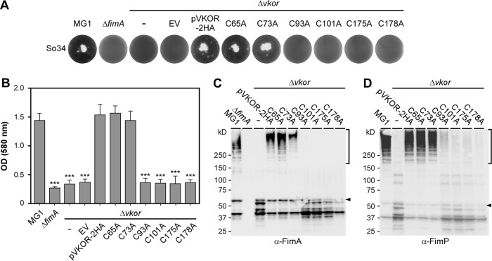 FIG 2