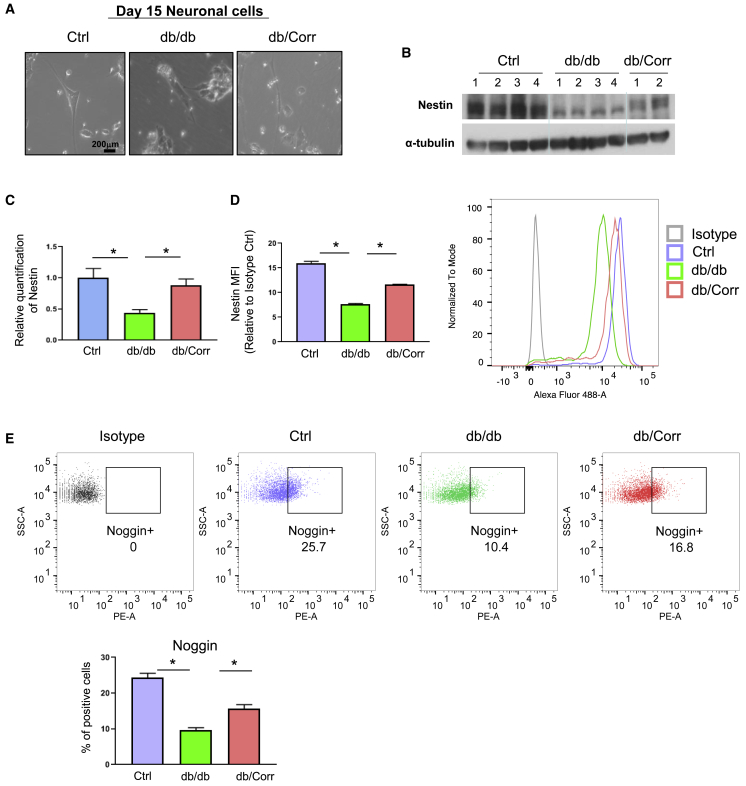 Figure 6