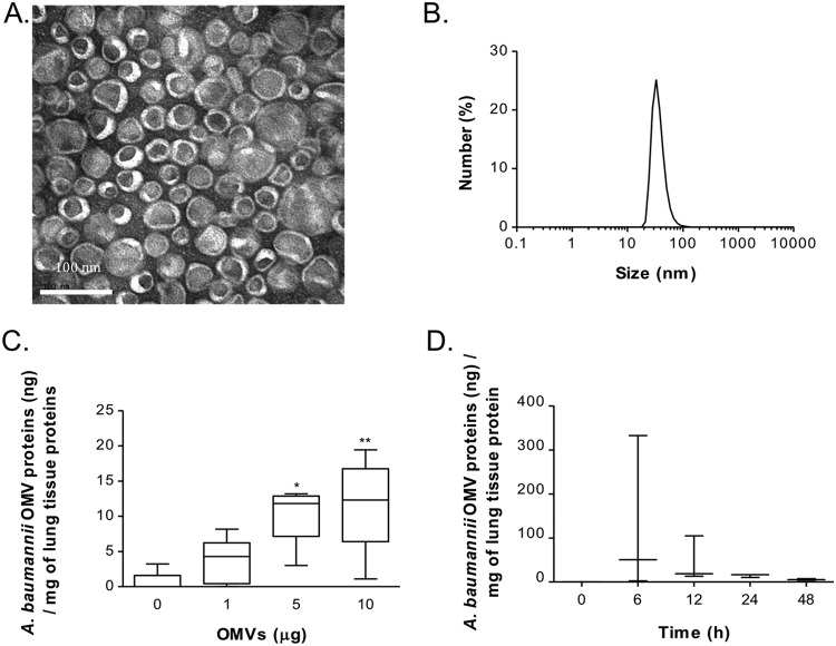 FIG 1