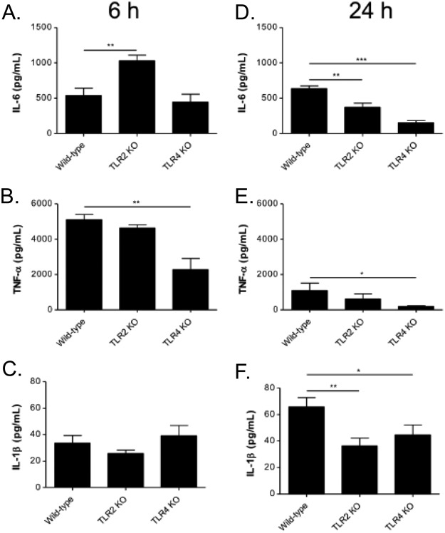 FIG 6