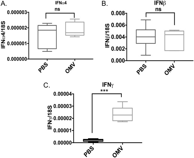 FIG 8