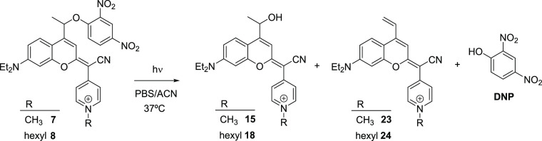 Scheme 4