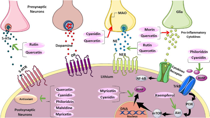 FIGURE 4