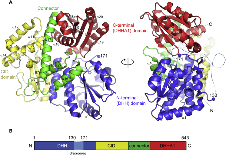 Figure 2