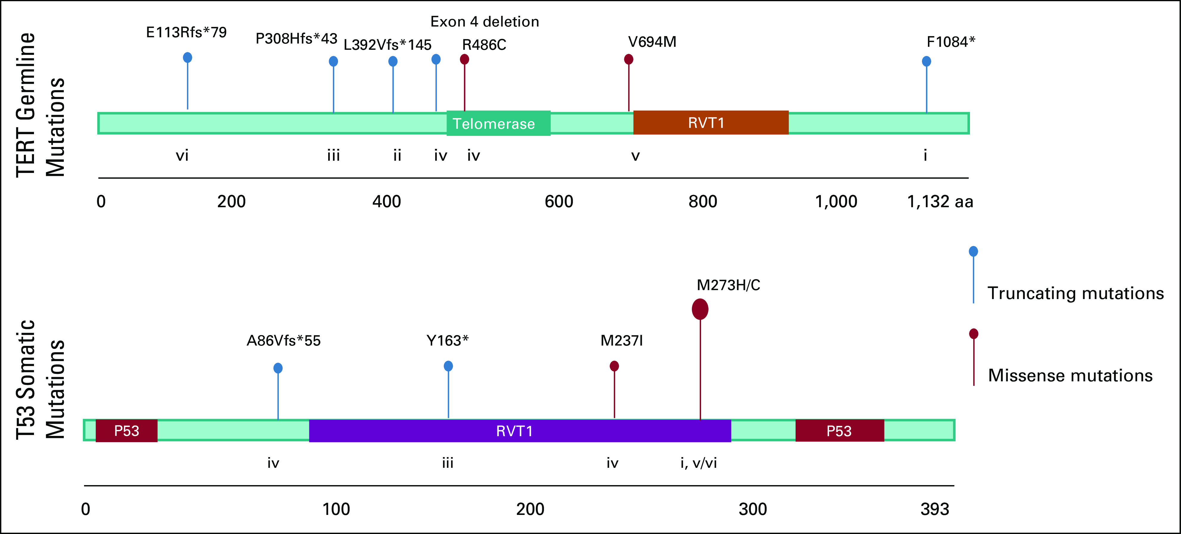 FIG 2.