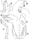 Fig. 5.