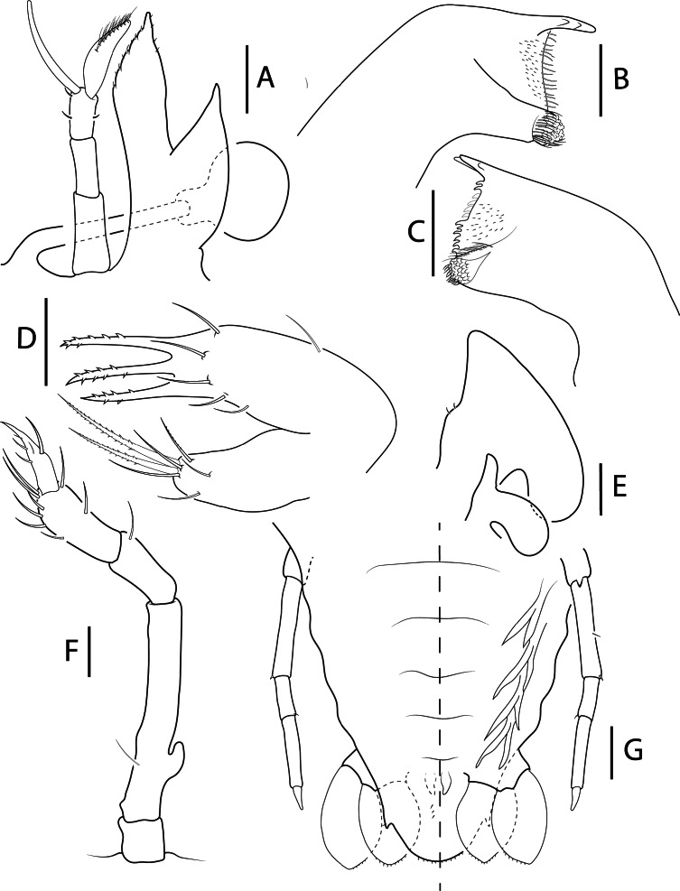 Fig. 5.