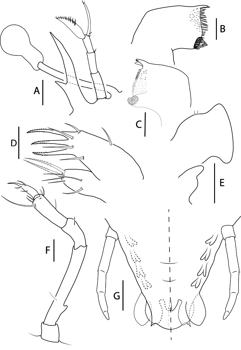 Fig. 7.