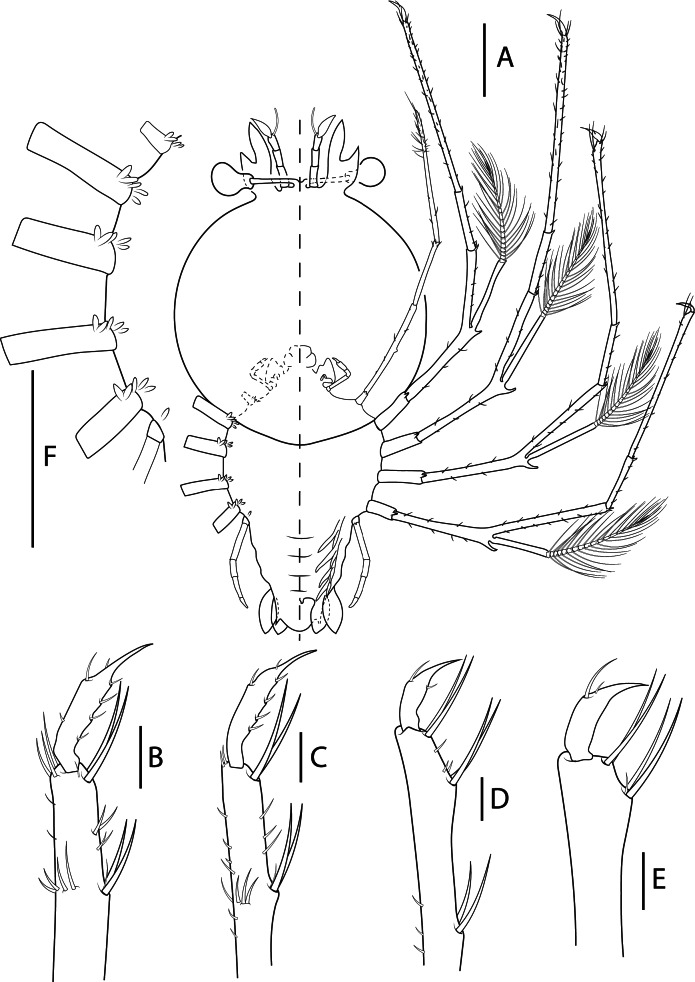 Fig. 4.