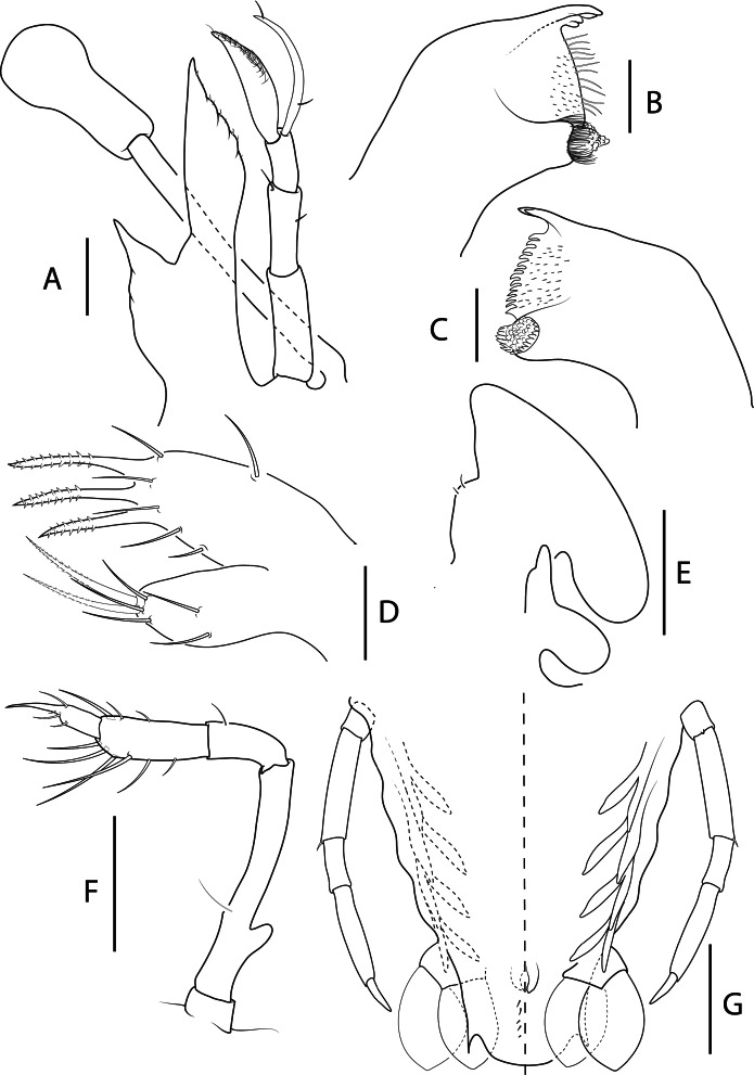 Fig. 8.