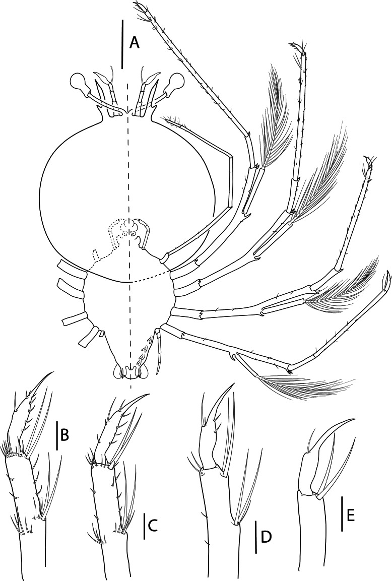 Fig. 6.