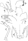 Fig. 7.