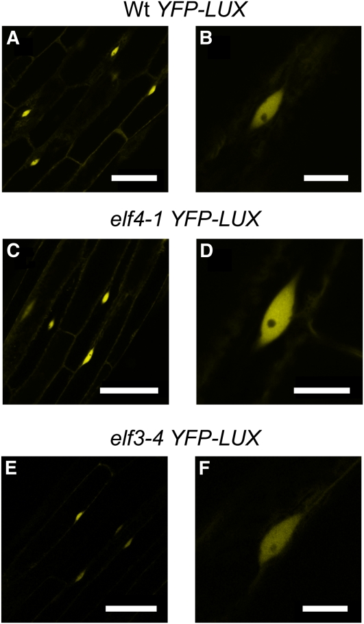 Figure 10.
