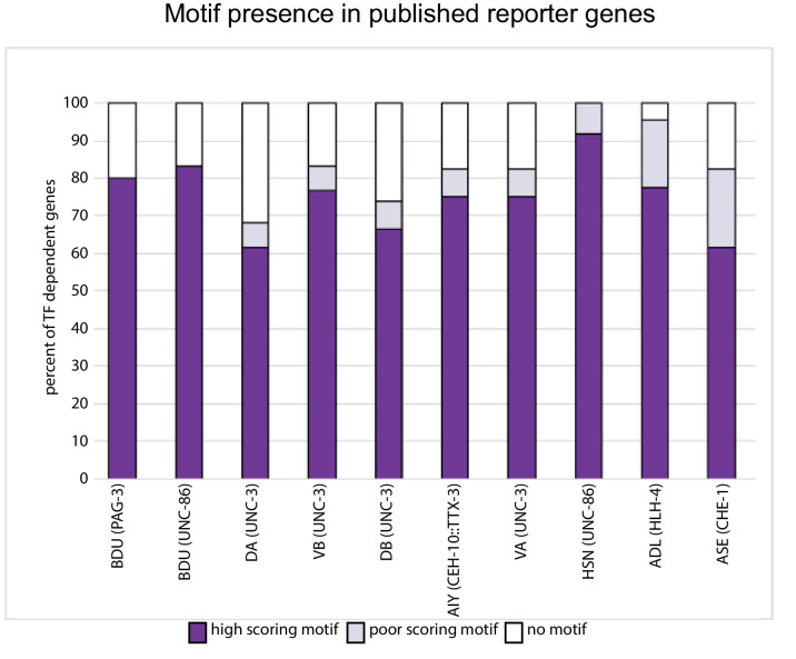 Figure 6—figure supplement 1.