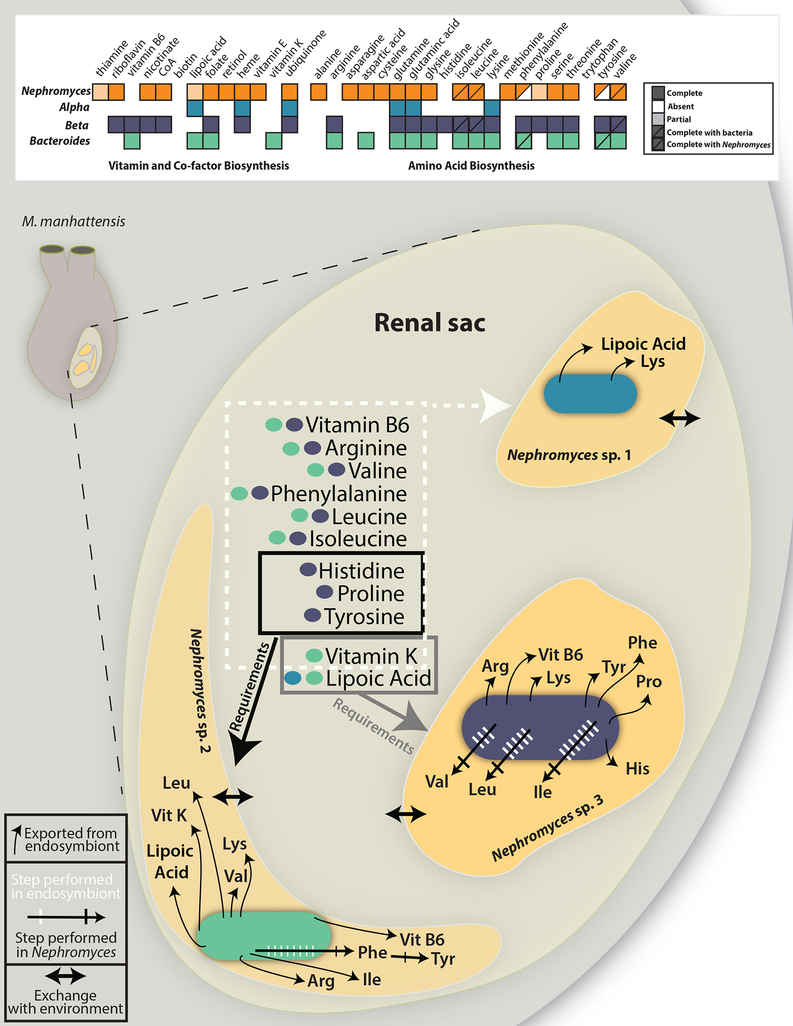 Figure 2: