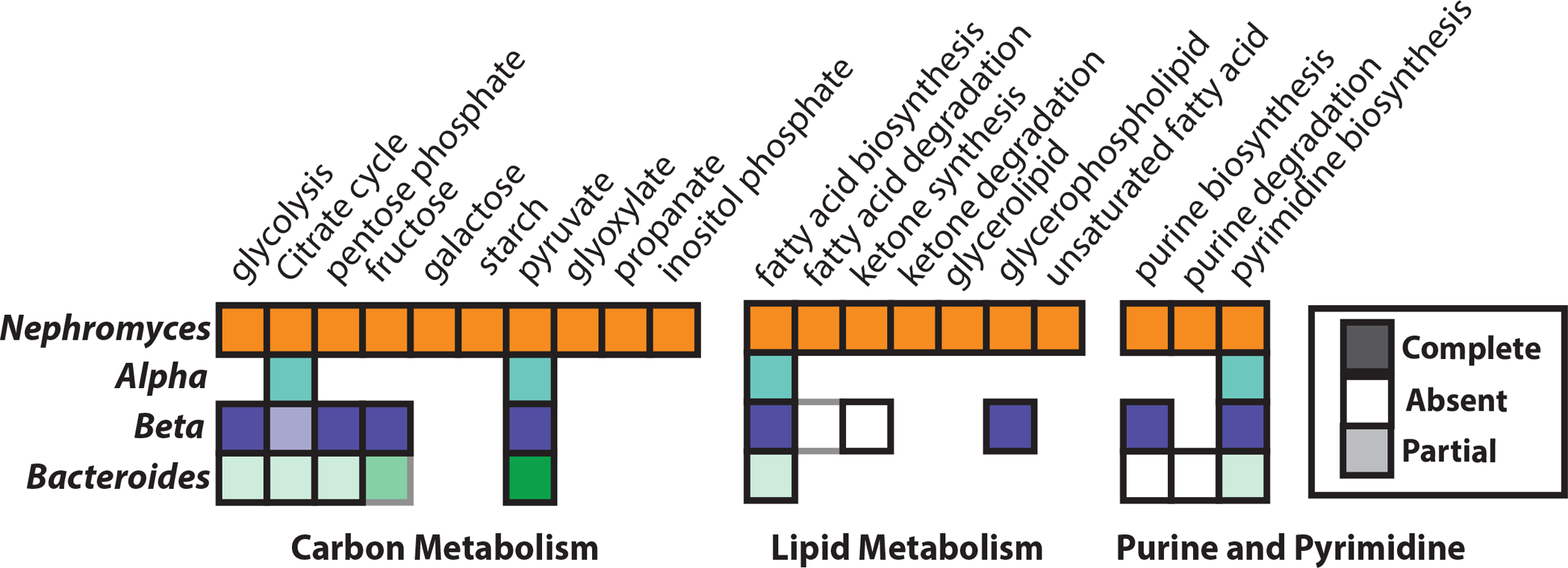 Figure 3: