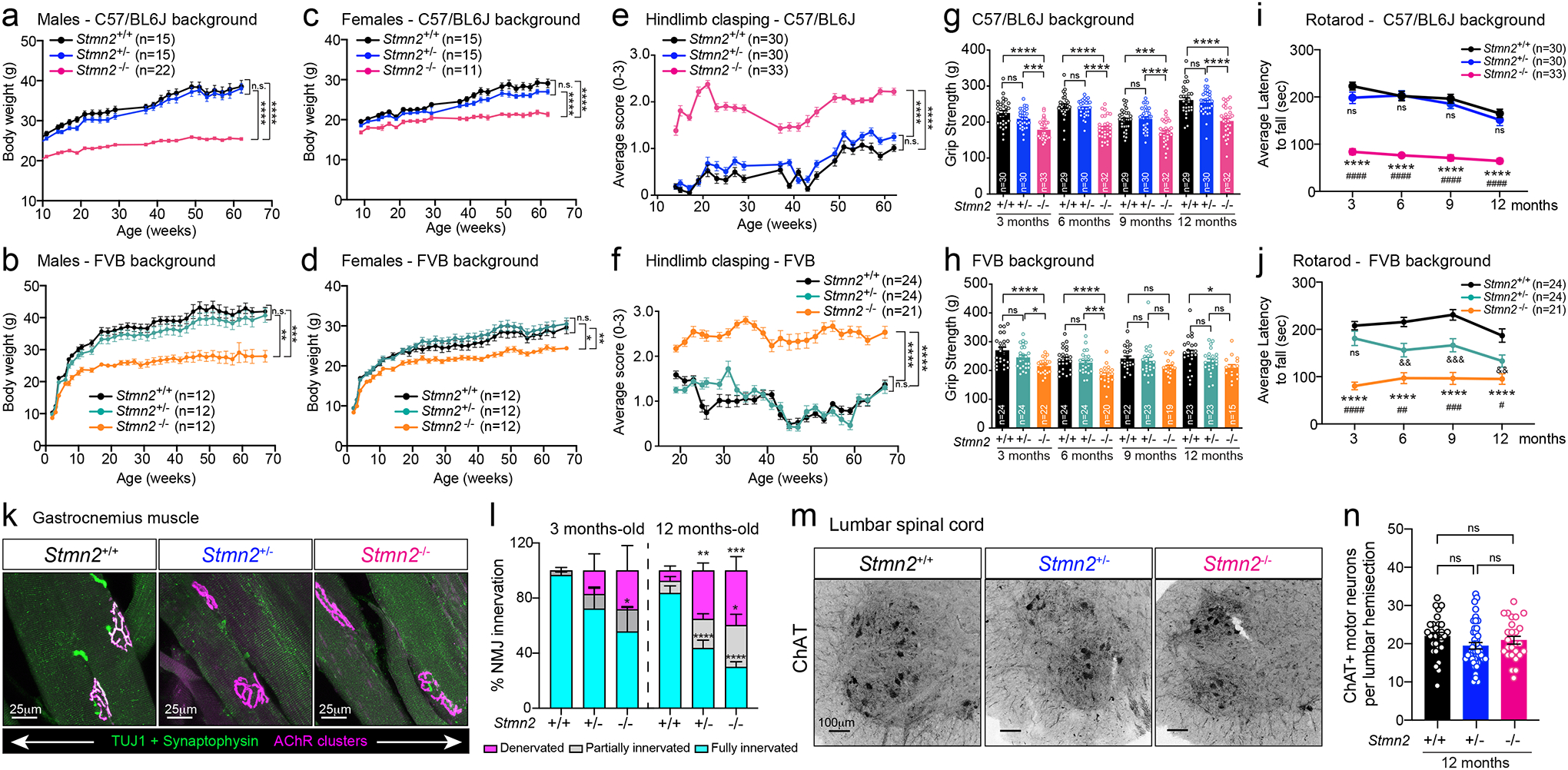 Figure 6: