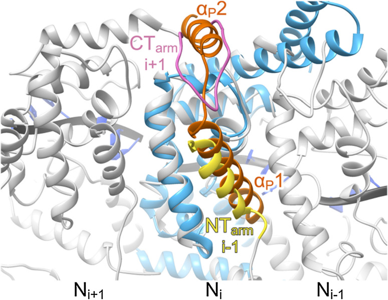 Fig. 6