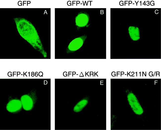 FIG. 7